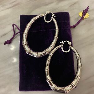 Chic Platinum Hoop Earrings